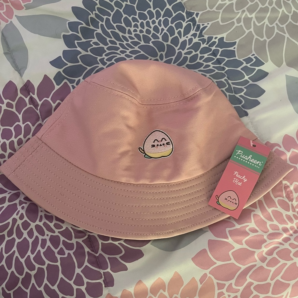 PUSHEEN BOX EXCLUSIVE ‘Peachy Hat’ - Picture 4 of 5